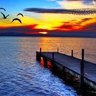 Adem TEKİNİR 的头像