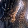 JulianoT #iceborne 的头像