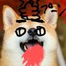 石川's profile picture