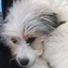 Profilbild von Sebas