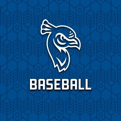 PeacocksBASE's profile picture