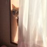 ねころんだー 的头像
