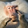 OBMS's profile picture