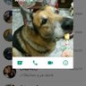 Vanesa profil fotoğrafı