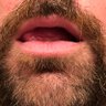 Temple of the Dog's profile picture