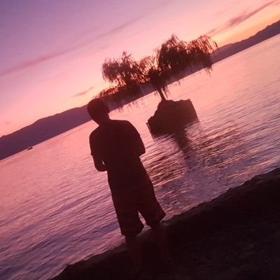 Kalin Babusku's profile picture