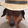 Spooky² Samuel Gunter's profile picture