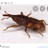 tumo beras's profile picture