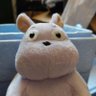 すねぽん 的头像