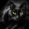 Profilbild von Emily Carter
