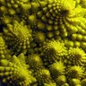 Фото профиля xoc