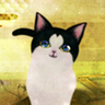 Profilbild von Mikhe