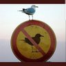 Olav's profile picture