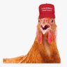 Pollo Invasor 🇪🇸💚🇮🇪💚🇭🇺💚🇨🇺 的头像