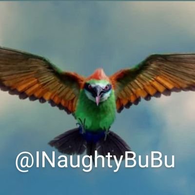INaughtyBuBu's profile picture