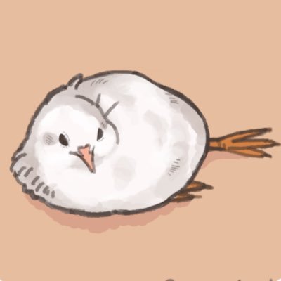 Fringed iris's profile picture