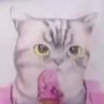coolcat's profile picture
