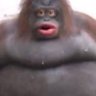 Profilbild von hjchkbcjk