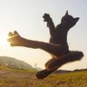 Profilbild von Mobius Kat
