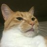mividaloca's profile picture