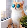 Faris Alzoubi profil fotoğrafı