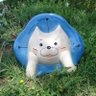 たこやきﾌ━━━ｯd(ºεº；)'s profile picture