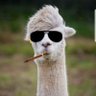 Profilbild von lo-fi