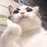 เธอคะ!!!!! profil fotoğrafı