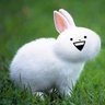 リン's profile picture