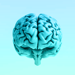_NamelessBrain_'s profile picture