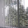 Phoenix 的头像