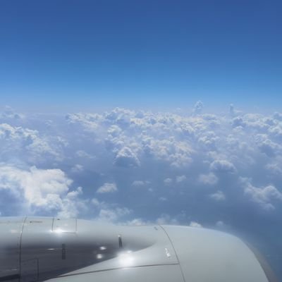 rangniruqi_1664's profile picture