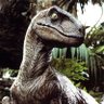 Raptor💪🏻🇲🇽 的头像