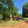 Wholesome Farm's profile picture