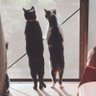 裕二 的头像