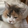 Фото профиля まくさん
