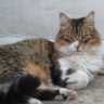 maria luisa fernanda🙋😻🌱🌾🍁 profil fotoğrafı