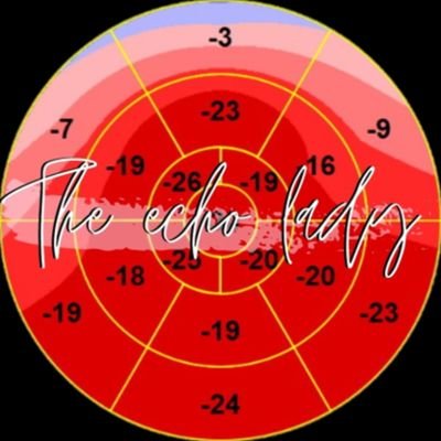 The Echo Lady's profile picture