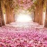 Фото профиля عمار بن أحمد