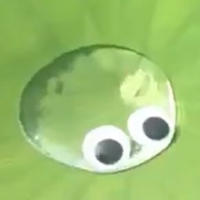 Carex_minima's profile picture