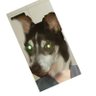 MrDrProfessorChuck profil fotoğrafı