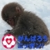 小猿 profil fotoğrafı