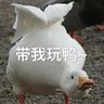 Фото профиля 可可大叔