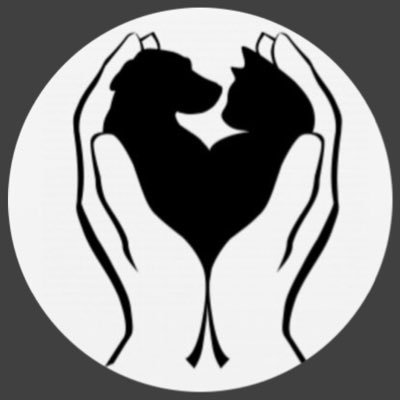 سعيد ابو نوره's profile picture