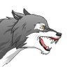 Kwolfy1220's profile picture
