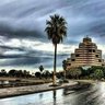 دولة بروحي's profile picture