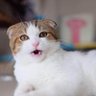 t profil fotoğrafı