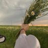 Noor profil fotoğrafı