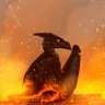 Fire Angel profil fotoğrafı
