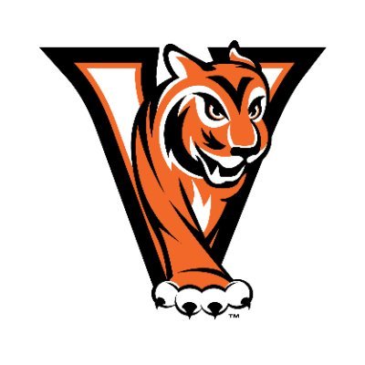 vhstigers's profile picture